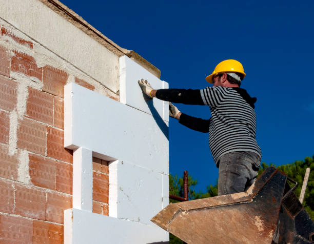Insulation Repair Services in Chamberlayne, VA